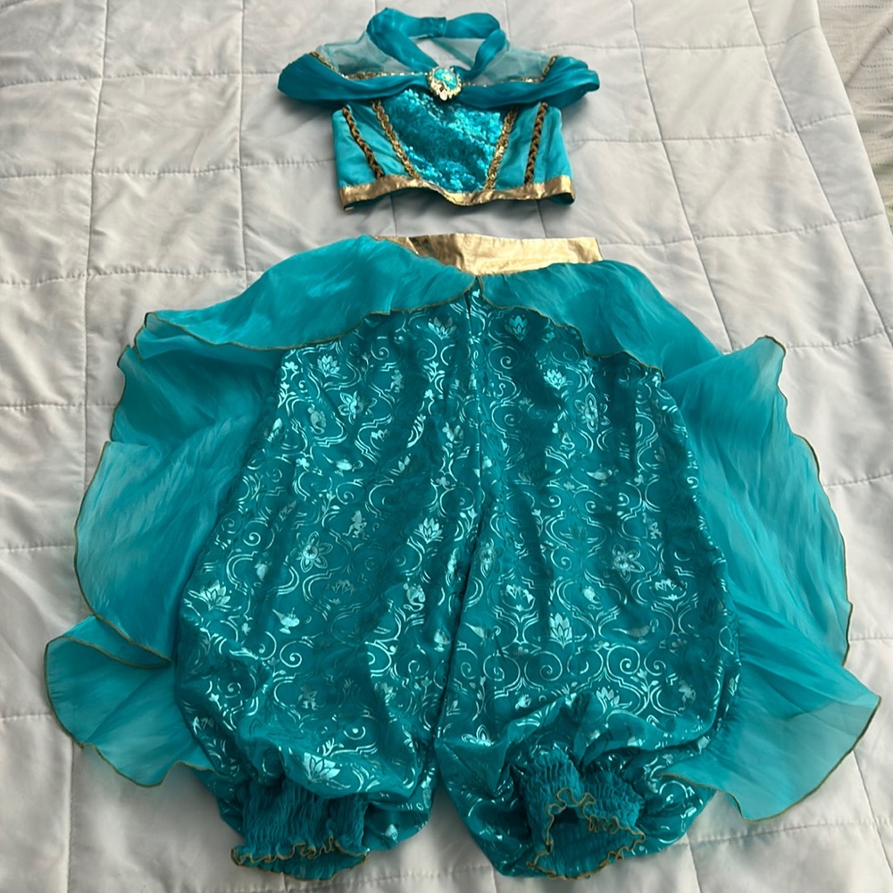 Jasmine Halloween costume